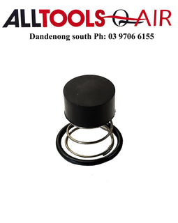 Air Compressor 90 Degree NON Return Valve Repair Kit to suit P/N NRV1/2 + $10.60 Postage